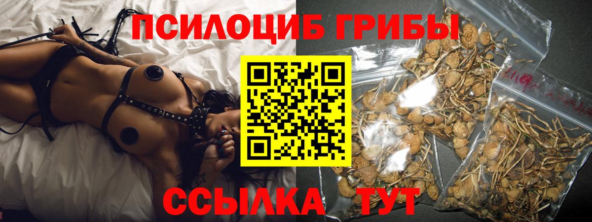 Псилоцибиновые грибы Cubensis  Псилоцибиновые грибы ЛСД  Вход с VPN  Усть-Лабинск 