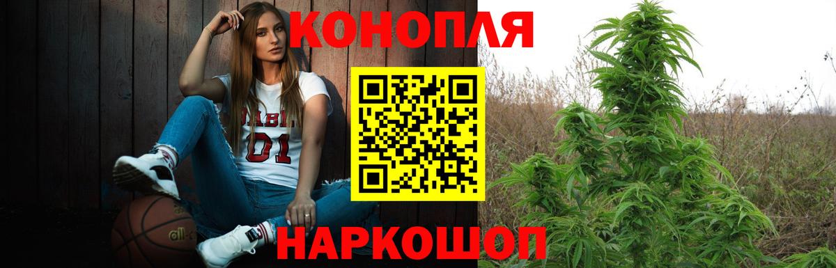 Шишки марихуана гибрид Усть-Лабинск